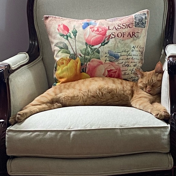 Meet your Posher, Carol - Picture 2 of 4